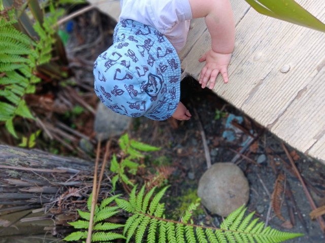 Check out our Centre Gallery