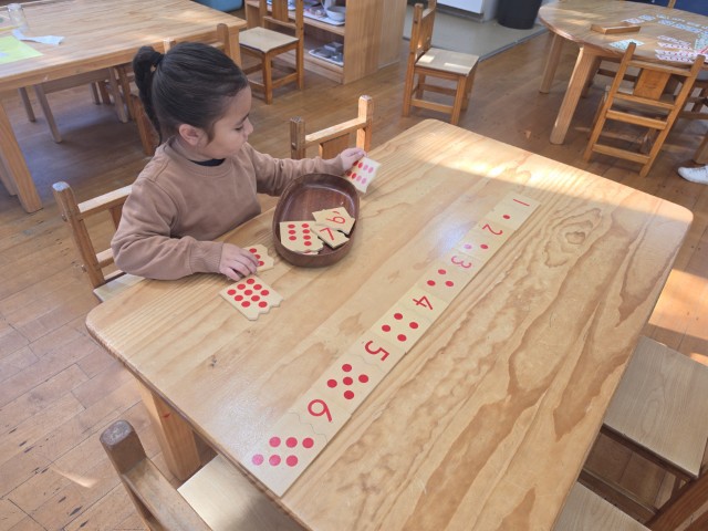 Little Earth Montessori Panmure