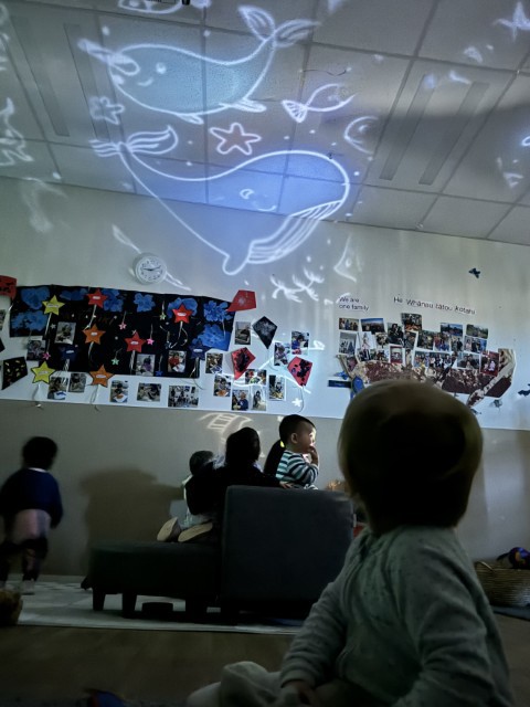 Check out our Centre Gallery