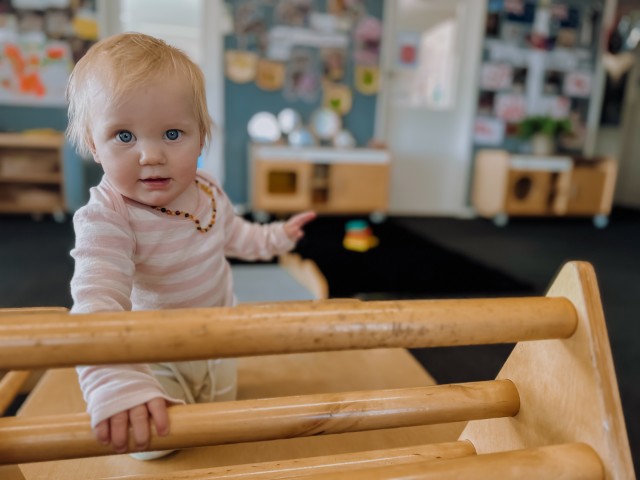 Check out our Centre Gallery