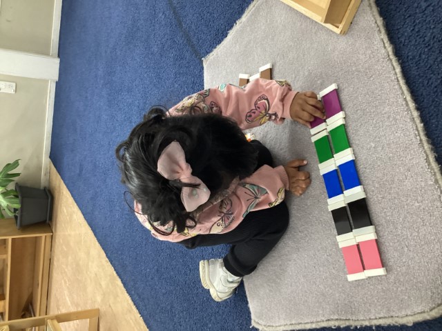 Little Earth Montessori Panmure