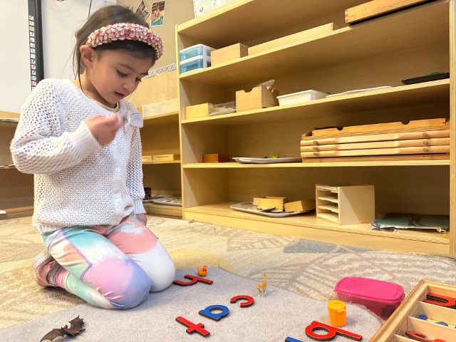 Little Earth Montessori Remuera