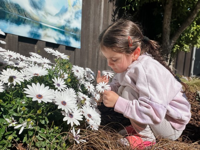 Check out our Centre Gallery